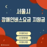 서울시 장애인 버스요금 지원금 지원대상, 신청방법, 지원내용