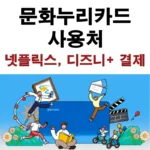 문화누리카드-사용처