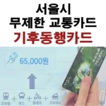 서울시 무제한 교통카드 기후동행카드 안내, K패스와 비교