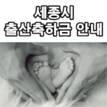 세종시-출산축하금-안내