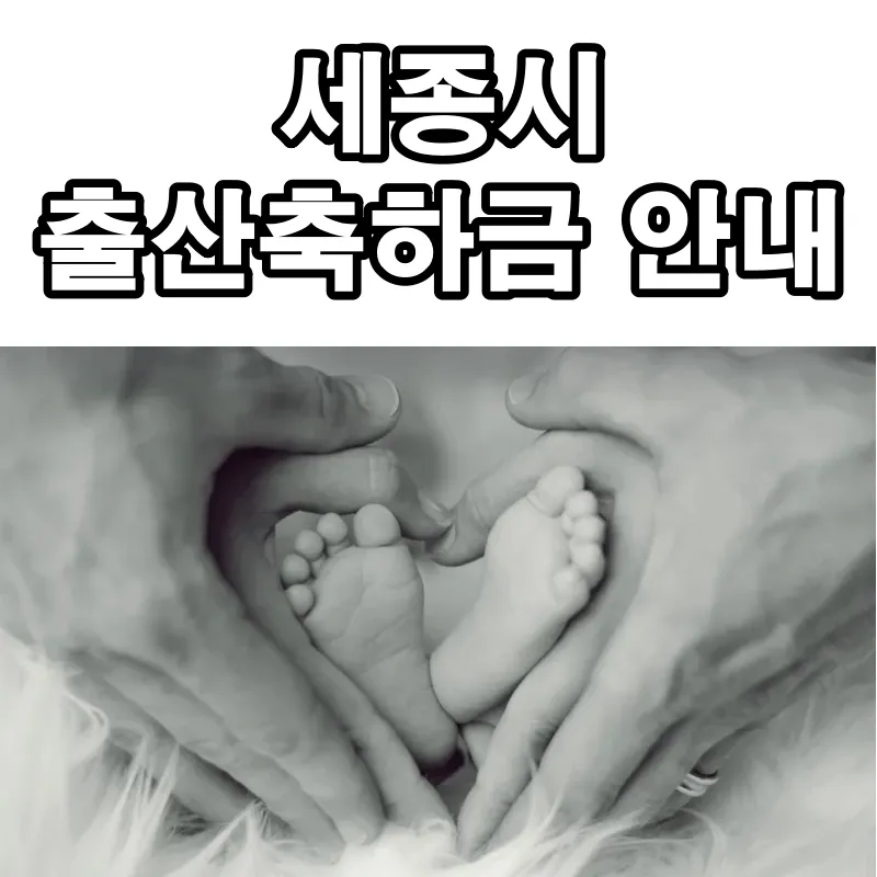 세종시-출산축하금-안내