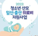 청소년산모-임신출산-의료비-지원