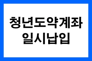 청년도약계좌-일시납입-안내